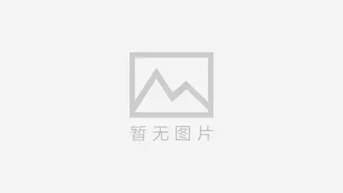 湛江女士的寻人之旅：寻找失踪的爱人